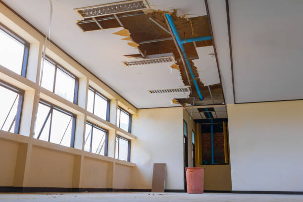 Best Water damage restoration near me  in Boiling Springs, SC