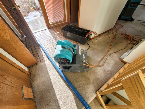 Best Carpet water damage restoration  in Boiling Springs, SC
