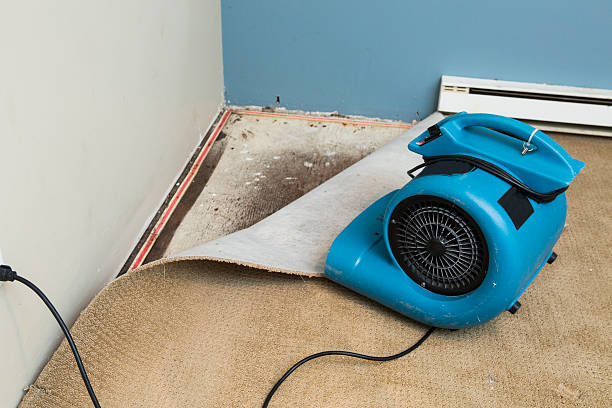Best Flood restoration services  in Boiling Springs, SC